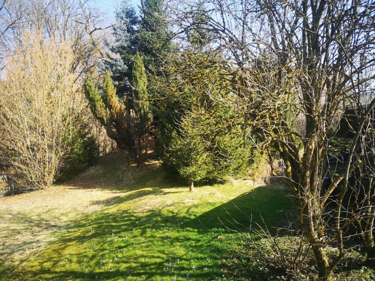 Ferienwohnung Dinkelbergblick Oeflingen Wehr  Extérieur photo